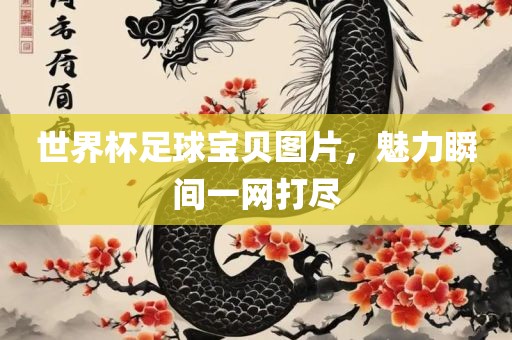 世界杯足球宝贝图片，魅力瞬间一网打尽