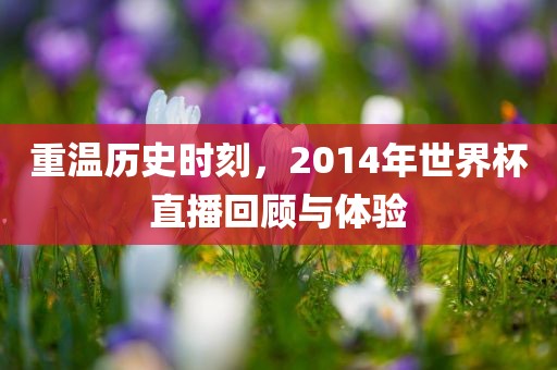 重温历史时刻，2014年世界杯直播回顾与体验广西贺州市华昌新材料有限公司