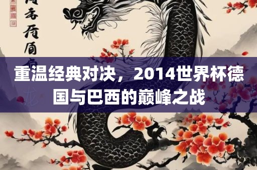 重温经典对决，2014世界杯德国与巴西的巅峰之战
