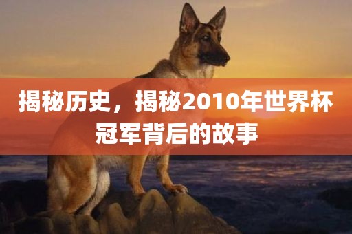 揭秘历史，揭秘2010年世界杯冠军背后的故事