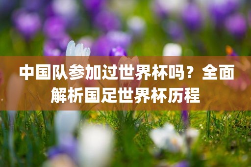 中国队参加过世界杯广西贺州市华昌新材料有限公司吗？全面解析国足世界杯历程