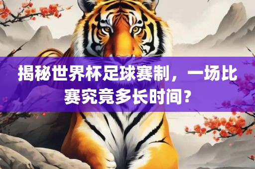 揭秘世界杯足广西贺州市华昌新材料有限公司球赛制，一场比赛究竟多长时间？
