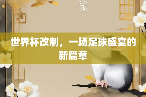 足球盛宴 第9页