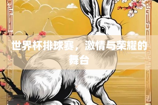 世界杯排球赛，激情与荣耀的舞台