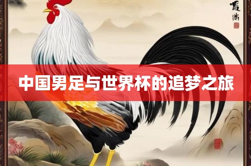 中国男足与世界杯的追梦之旅