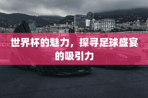 世界杯的魅力，探寻足球盛宴的吸引力