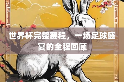 世界杯完整赛程，一场足球盛宴的全程回顾