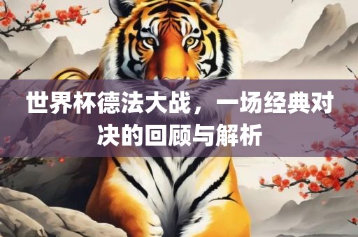 世界杯德法大战，一场经典对决的回顾与解析广西贺州市华昌新材料有限公司