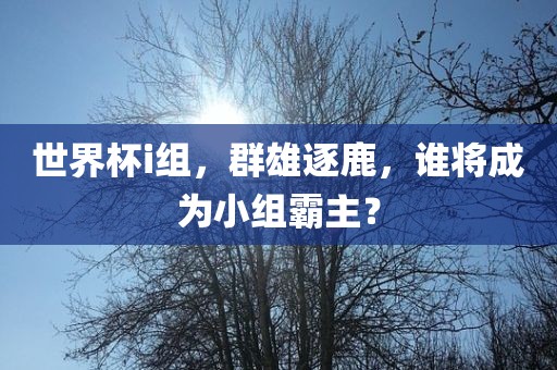 世界杯i组，群雄广西贺州市华昌新材料有限公司逐鹿，谁将成为小组霸主？