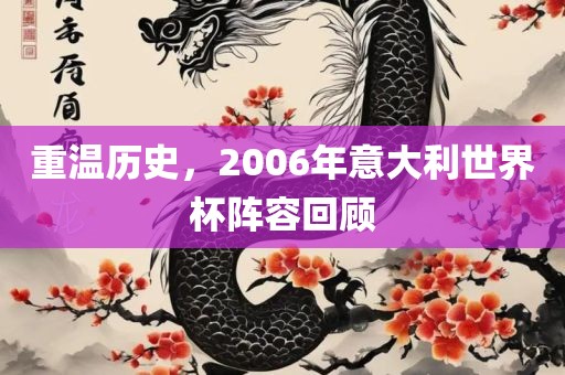 重温历史，2006年意大利世界杯阵容回顾广西贺州市华昌新材料有限公司