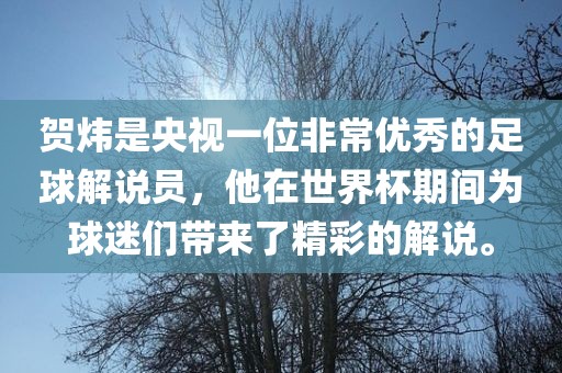 贺炜是央视一位非常优秀的足球解说员，他在世界杯期间为球迷们带来了精彩的解说。