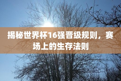 揭秘世界杯16强晋级规则，赛场上的生存法则广西贺州市华昌新材料有限公司