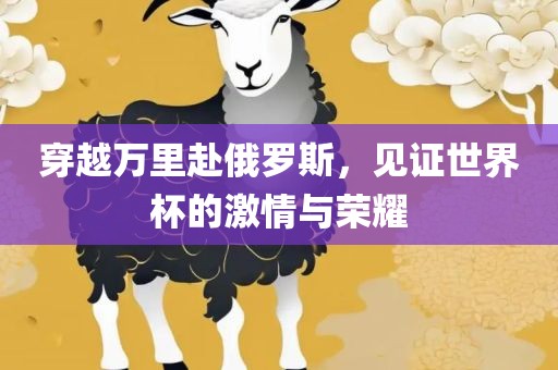 穿越万里赴俄罗斯，见证世界杯的激情与荣耀广西贺州市华昌新材料有限公司