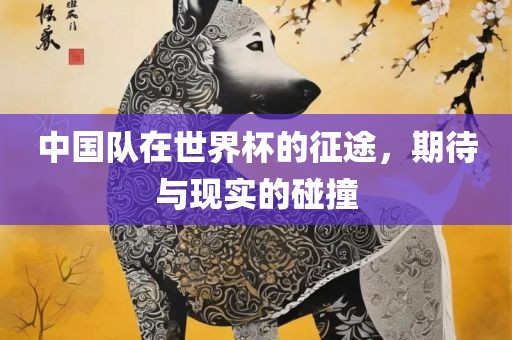 中国队在世界杯的征途，期待与现实的碰撞