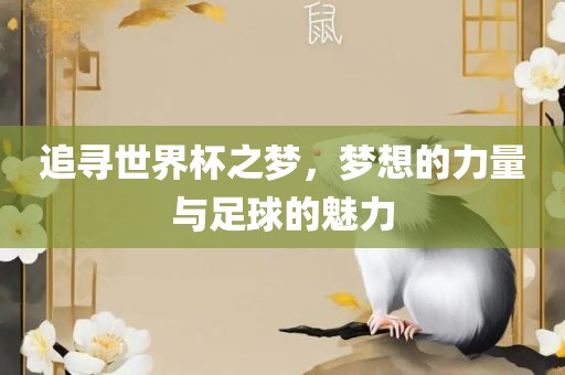 追寻世界杯之梦，梦想的力量与足球的魅力