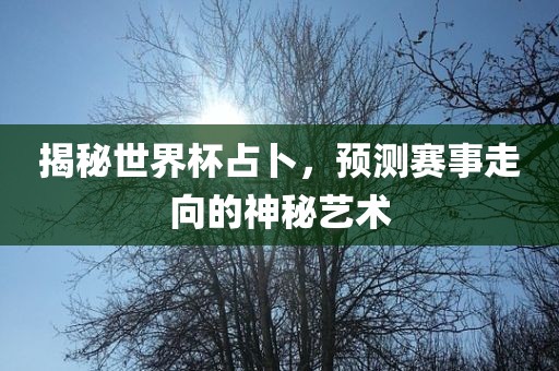 揭秘世广西贺州市华昌新材料有限公司界杯占卜，预测赛事走向的神秘艺术