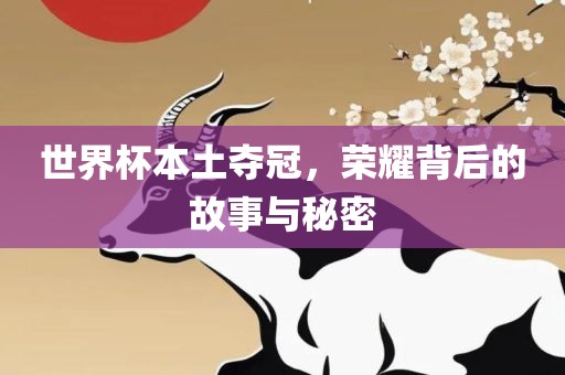 世界杯本土夺冠，荣耀背后的故事与秘密广西贺州市华昌新材料有限公司