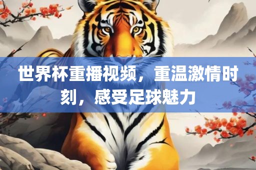 世广西贺州市华昌新材料有限公司界杯重播视频，重温激情时刻，感受足球魅力
