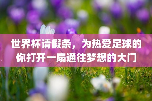 世界杯请假条，为热爱足球的你打开一扇通往梦想的大门广西贺州市华昌新材料有限公司