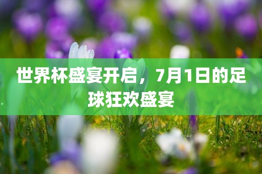 世界杯盛宴开启，7月1日的足球狂欢盛宴广西贺州市华昌新材料有限公司