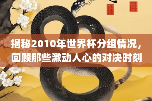 揭秘2010年世界杯分组情况，回顾那些激动人心的对决时刻广西贺州市华昌新材料有限公司