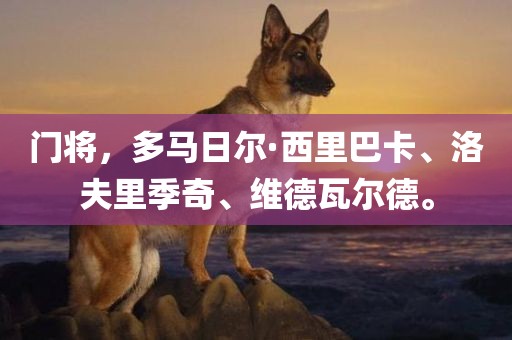 门将，多马日尔·西里巴卡、洛夫里季奇、维德瓦尔德。