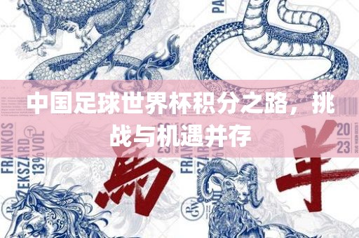 中国足球世界杯积分之路，挑战与机遇并存