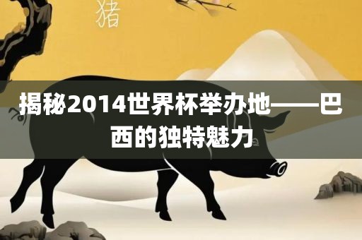揭秘2014世界杯举办地——巴西的独特魅力