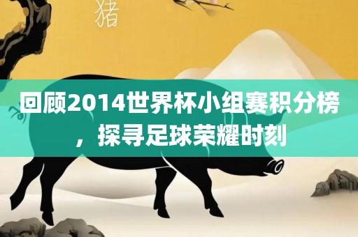 回顾2014世界杯小组赛积分榜，探寻足球荣耀时刻
