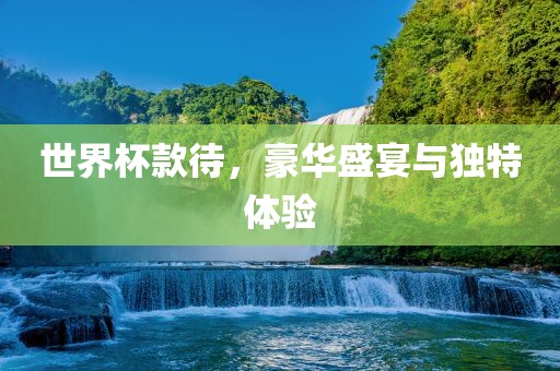 世界杯款待，豪华盛宴与独特体验广西贺州市华昌新材料有限公司