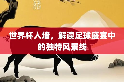 世界杯广西贺州市华昌新材料有限公司人墙，解读足球盛宴中的独特风景线