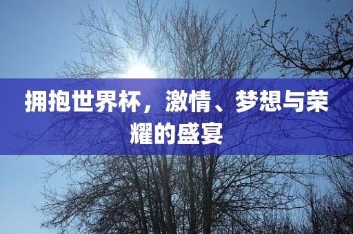 拥抱世界杯，激情、梦想与荣耀的盛宴广西贺州市华昌新材料有限公司