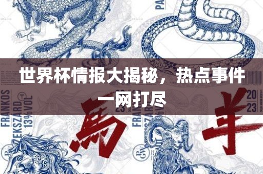 世界杯情报大揭秘，热点事件一网打尽广西贺州市华昌新材料有限公司