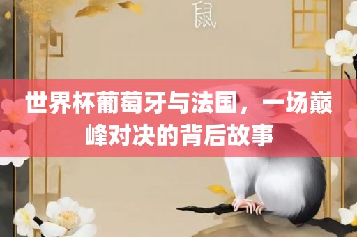 世界杯葡萄牙与法国，一场巅峰对决的背后故事