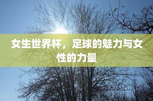 女生世界杯，足球的魅力与女性的力量