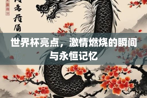 世界杯亮点，激情燃烧的瞬间与永恒记忆