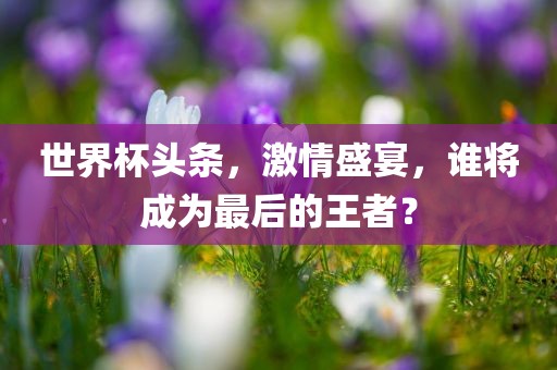 世界杯头条，激情盛宴，谁将成为最后的王者？