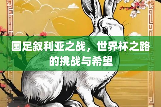 国足叙利亚之战，世界杯之路的挑战与希望广西贺州市华昌新材料有限公司