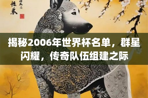 揭秘2006年世界杯名单，群星闪耀，传奇队伍组建之际