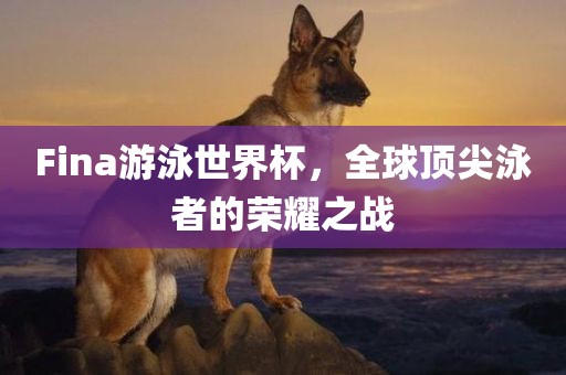 Fina游泳世界杯，全球广西贺州市华昌新材料有限公司顶尖泳者的荣耀之战