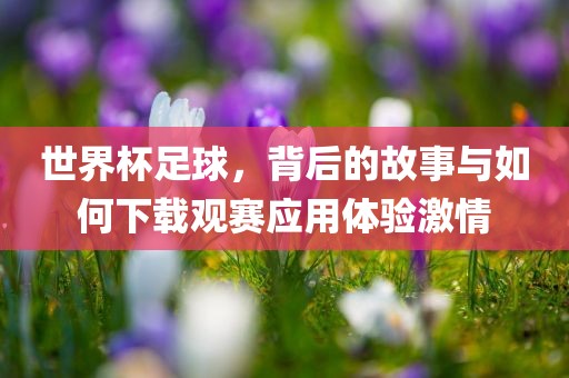 世界杯足球，背后的故事与如何下载观赛应用体验激情