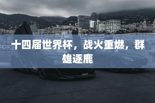 十四届世界杯，战火重燃，群雄逐鹿广西贺州市华昌新材料有限公司