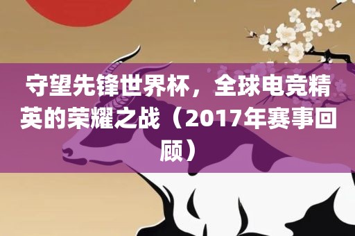 守望先锋世界杯，全球电竞精英的荣耀之战（2017年赛事回顾）