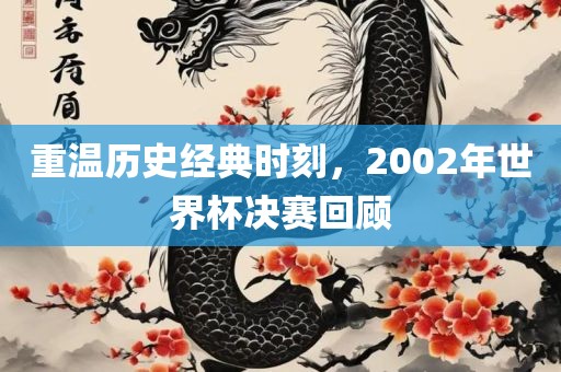 重温历史经典时刻，2002年世界杯决赛回顾广西贺州市华昌新材料有限公司