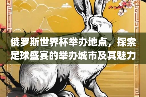 俄罗斯世界杯举办地点，探索足球盛宴的举办城市及其魅力广西贺州市华昌新材料有限公司