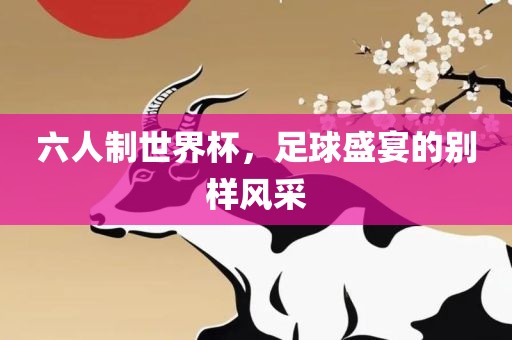 六广西贺州市华昌新材料有限公司人制世界杯，足球盛宴的别样风采