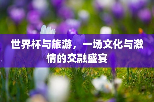 世界杯与旅游，一场文化与激情的交融盛宴
