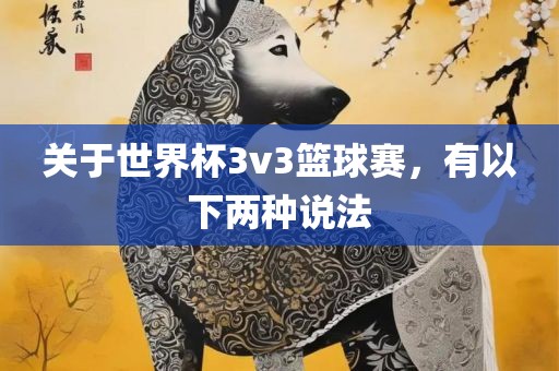 关于世界杯3v3篮球赛，有以下两种说法