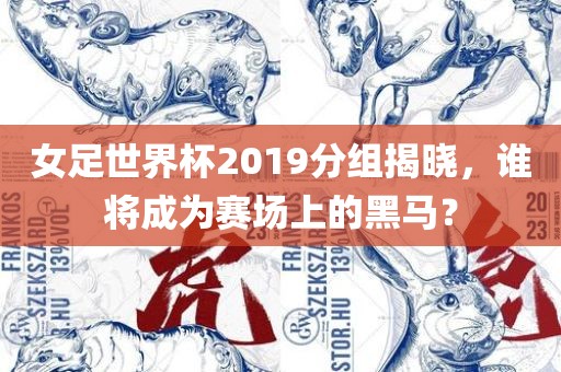 女足世界杯2019分组揭晓，谁将成为赛场上的黑马？广西贺州市华昌新材料有限公司