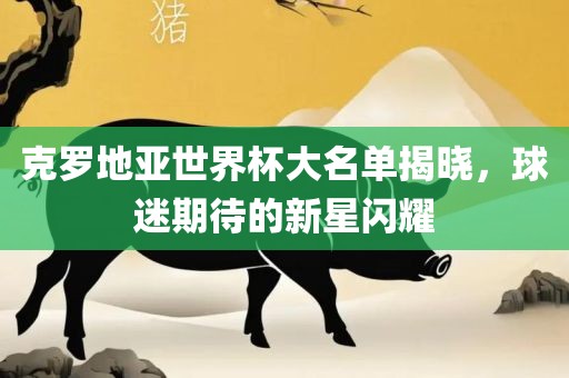 克罗地亚世界杯大名单揭晓，球迷期待的新星闪耀